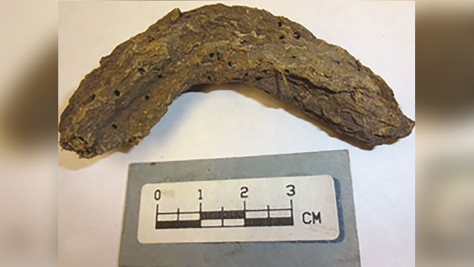 2qTnM8foptVqmbw4GYTjij-684-80