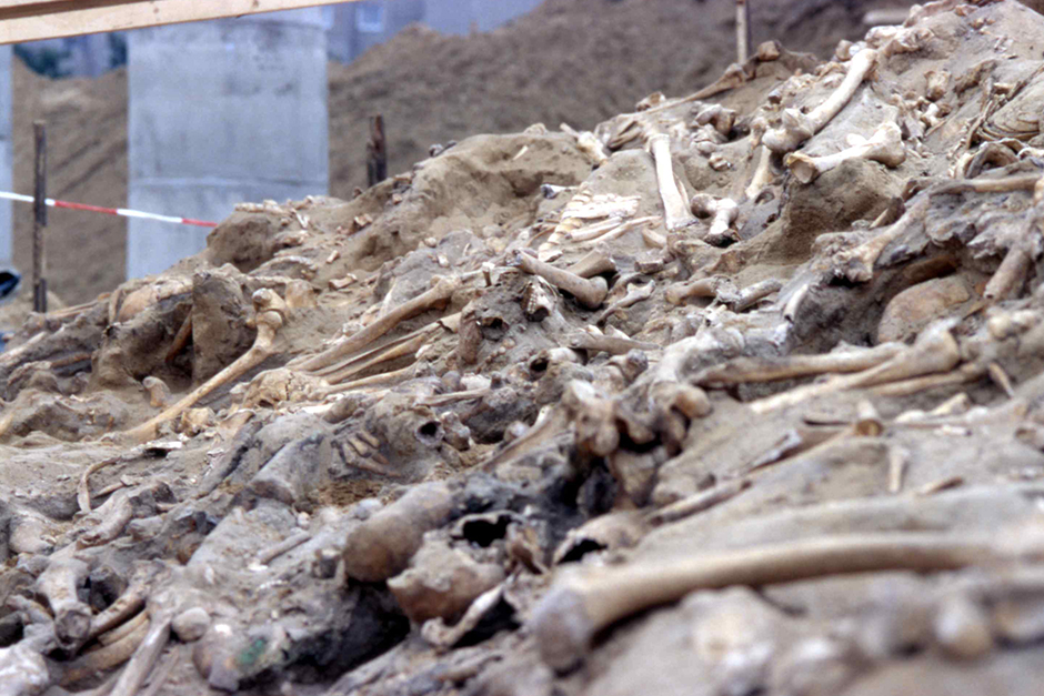 Dead soldiers’ teeth have finally shown us the diseases that destroyed Napoleon’s army Dead soldiers’ teeth have finally shown us the diseases that destroyed Napoleon’s army