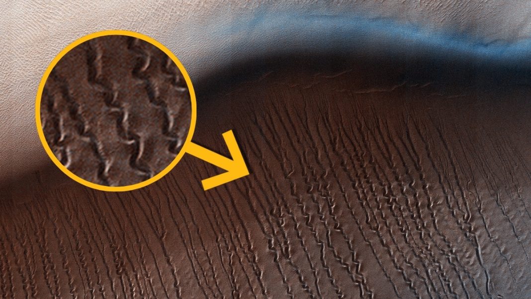An Experiment Just Revealed What's Really Burrowing Beneath Mars's Dunes Each Spring An Experiment Just Revealed What's Really Burrowing Beneath Mars's Dunes Each Spring
