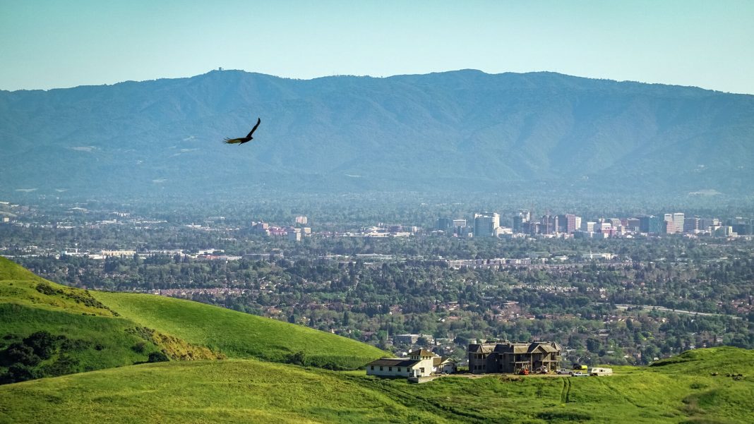 Dangerous day-biting mosquitoes are becoming more common in the Bay Area.