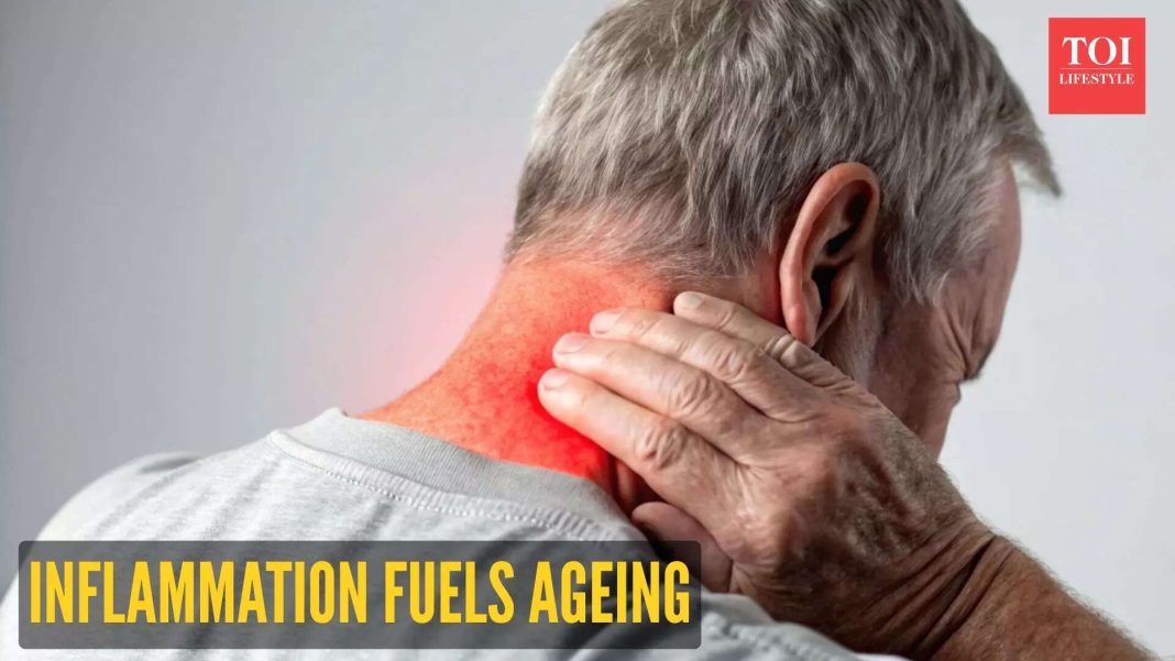 Longevity expert reveals: Chronic inflammation fuels ageing and cancer; here’s how to reduce it naturally Longevity expert reveals: Chronic inflammation fuels ageing and cancer; here’s how to reduce it naturally