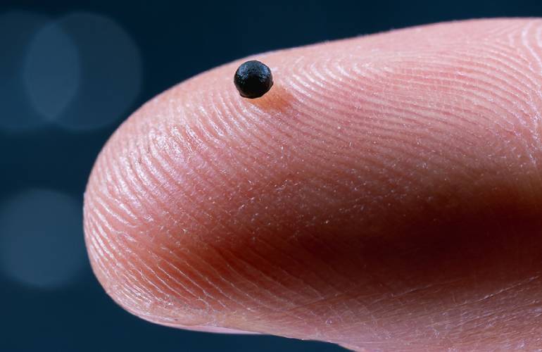 ETH Zurich researchers develop microrobots for drug delivery ETH Zurich researchers develop microrobots for drug delivery