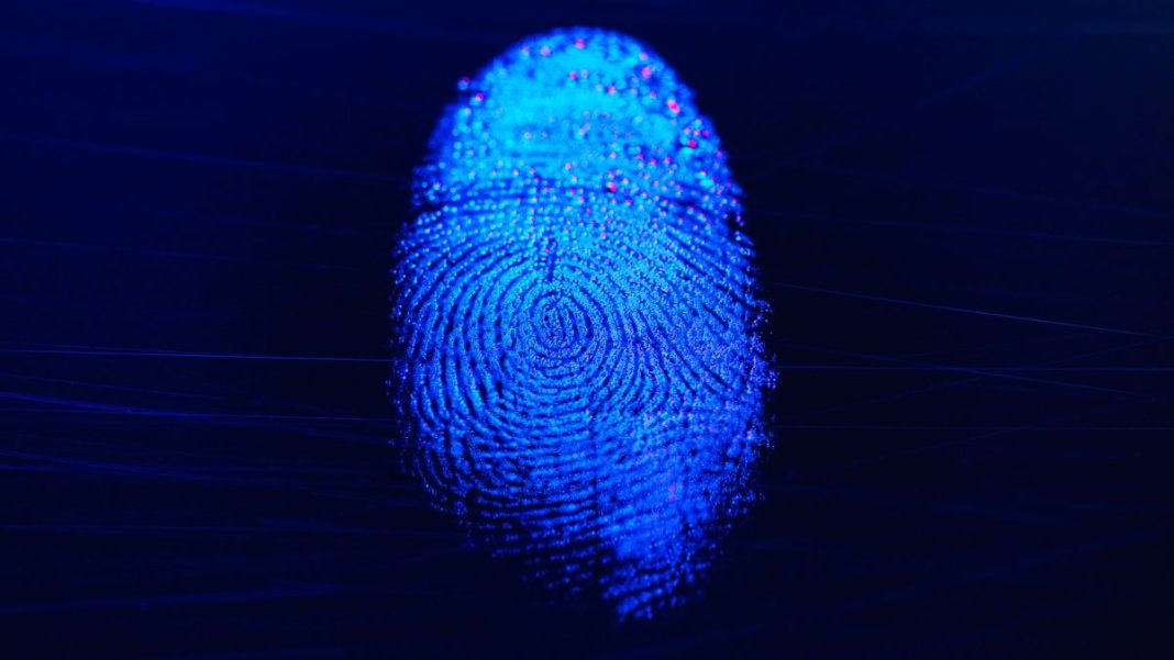 Game-changer for forensics: Fingerprints now recovered from bullet cases. Game-changer for forensics: Fingerprints now recovered from bullet cases.