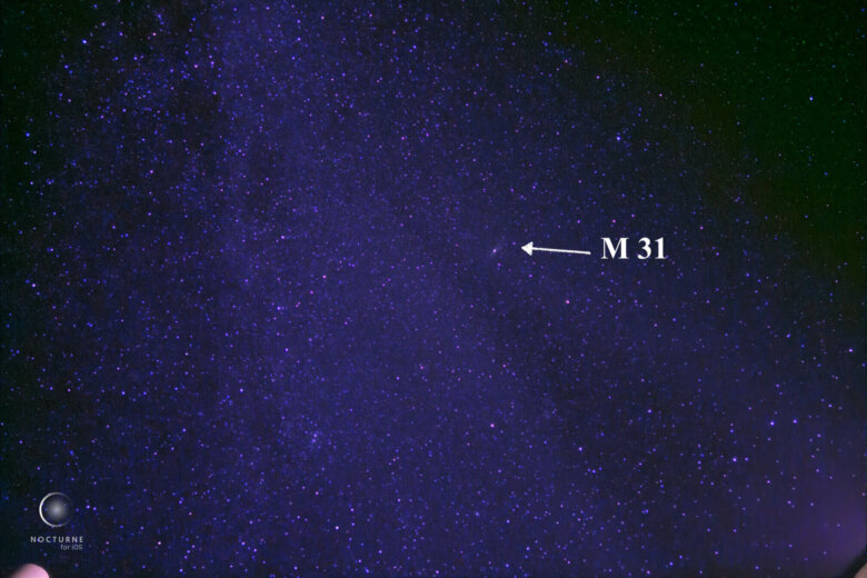 Get Ready for November 2025's Sky Show: Leonids and a Full Hunter's Supermoon