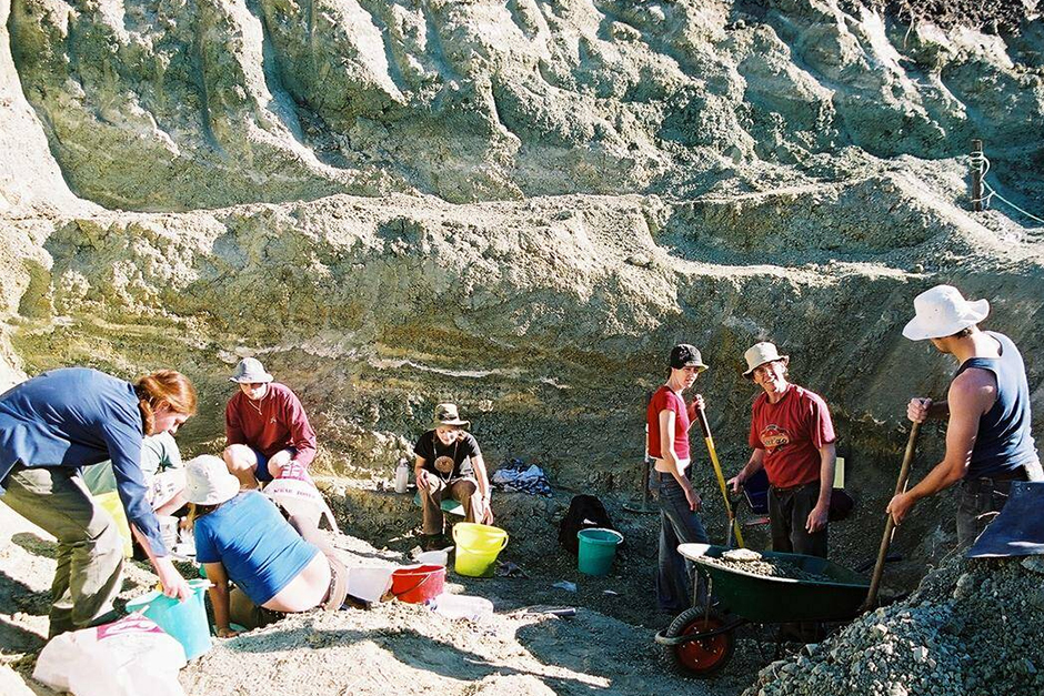 Ancient tree-climbing ‘drop crocs’ found in Australia. Ancient tree-climbing ‘drop crocs’ found in Australia.