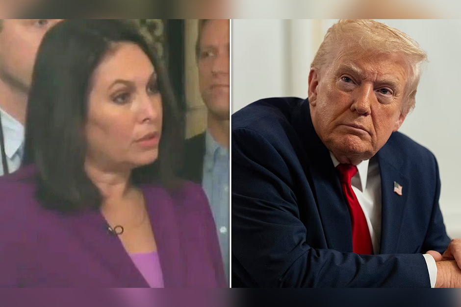 Trump slams reporter for question on DC shooting and Afghan suspect after ‘ugly’ comment: ‘Are you stupid?’