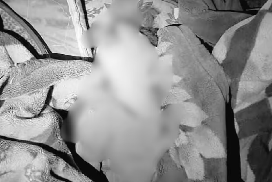 ‘Civilian’s house bombed’: Pakistan strikes Afghanistan, says Taliban government; 9 kids, 1 woman dead