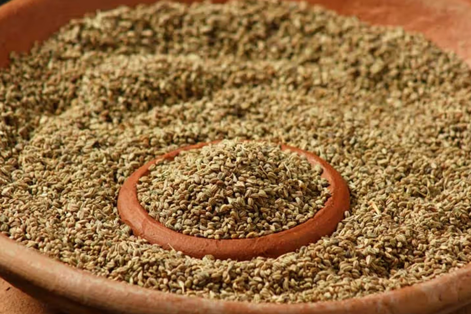 Ajwain health benefits: 7 reasons to eat soaked carrom seeds every day​