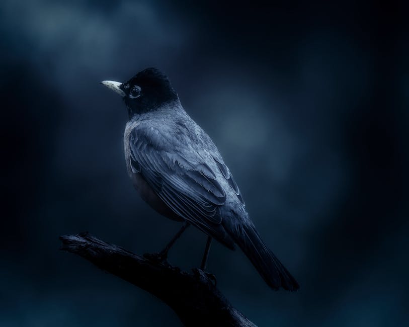 Someone in Washington state has bird flu – the first human case in the U.S. in nine months. Someone in Washington state has bird flu – the first human case in the U.S. in nine months.