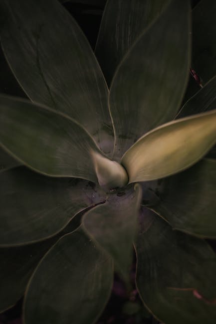 Jayden Daniels leaves the game after his non-throwing arm bends in a gruesome way. Jayden Daniels leaves the game after his non-throwing arm bends in a gruesome way.