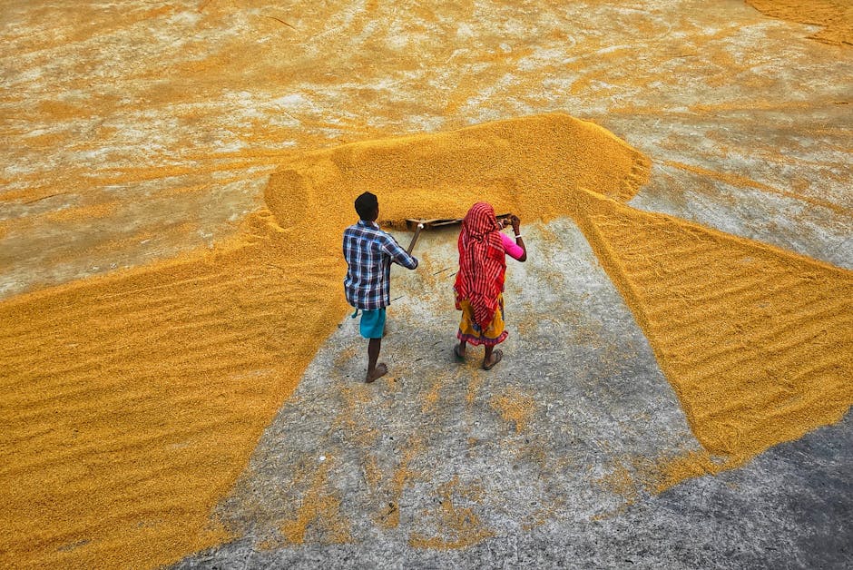 How the new Labour Codes will benefit workers with better wages, social security and safety