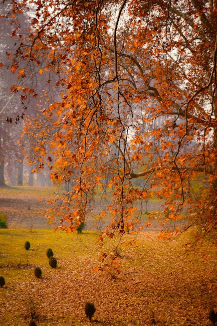 Delhi logs coldest November in five years