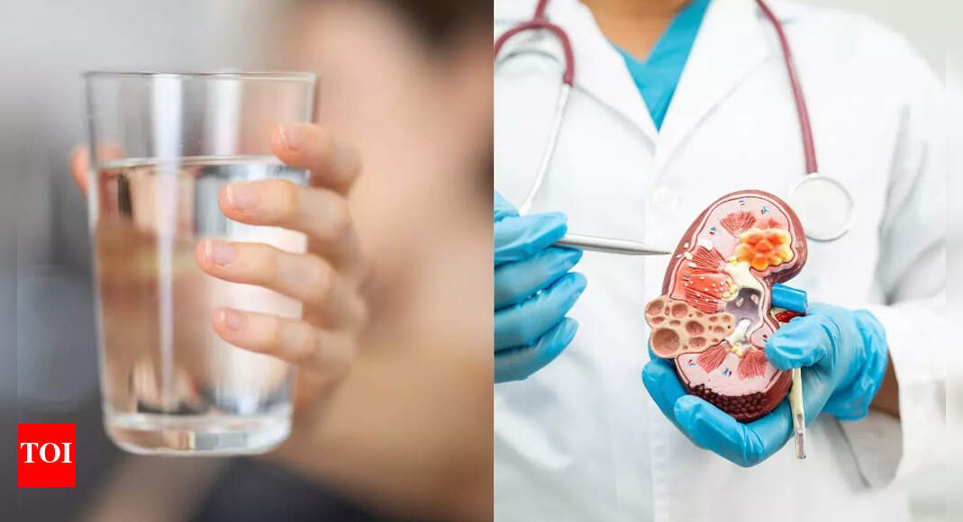 Can drinking ‘more water’ really protect your kidneys? Know the surprising truth about chronic kidney disease, hydration, and common myths Can drinking ‘more water’ really protect your kidneys? Know the surprising truth about chronic kidney disease, hydration, and common myths