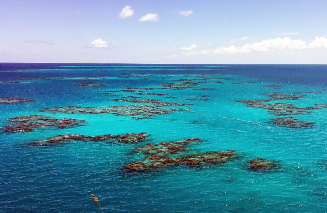 Earth's one sea with no shore never actually touches land.