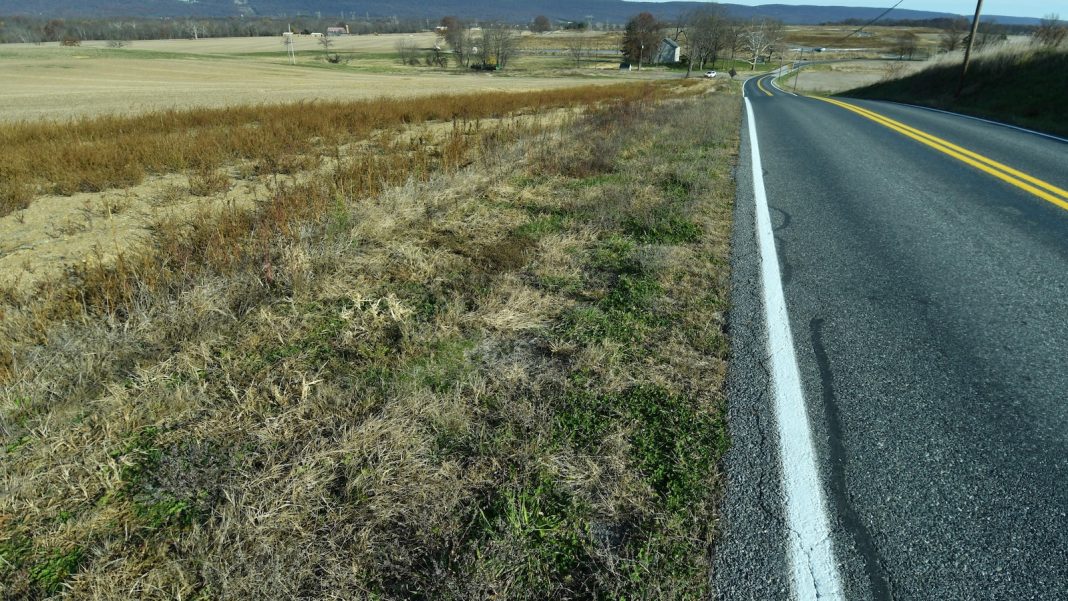 New data centers mean a huge jump in future energy predictions, but states are skeptical: Will they actually get built? New data centers mean a huge jump in future energy predictions, but states are skeptical: Will they actually get built?