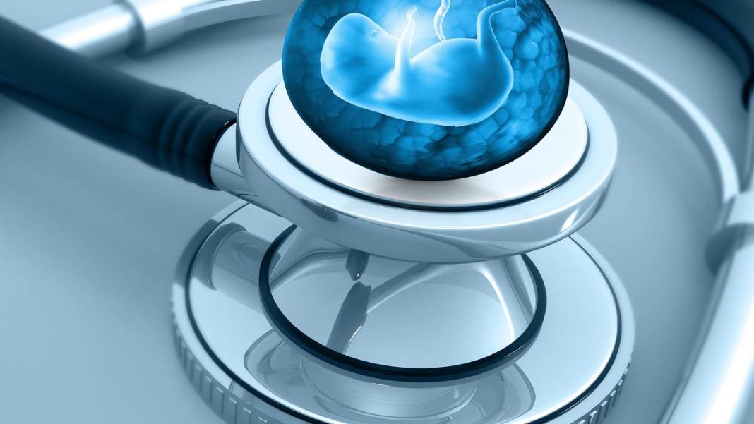 Inside a scientific experiment that transformed skin cells into embryo-forming eggs Inside a scientific experiment that transformed skin cells into embryo-forming eggs