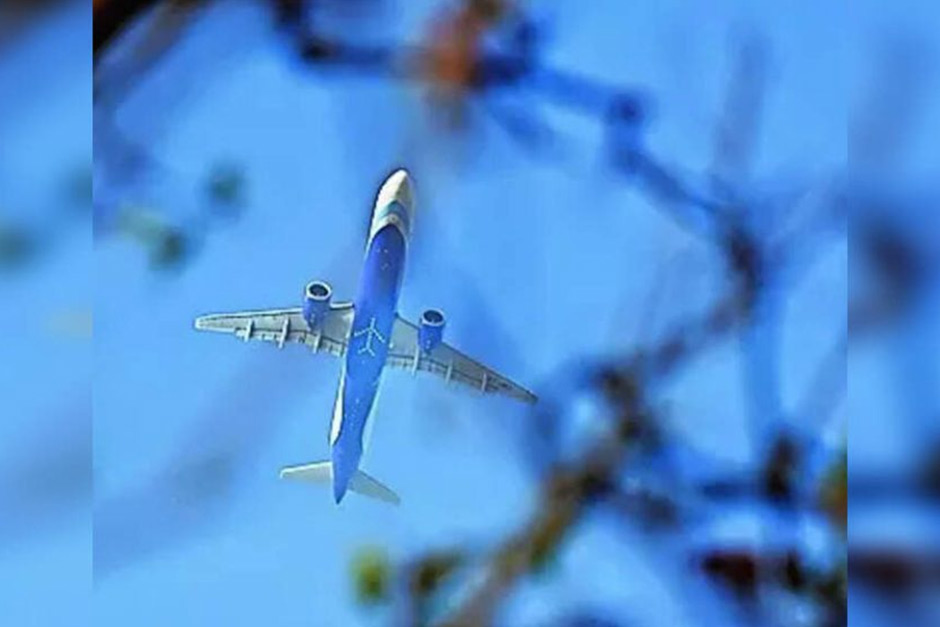 Senior expat official in IndiGo management may face action Senior expat official in IndiGo management may face action