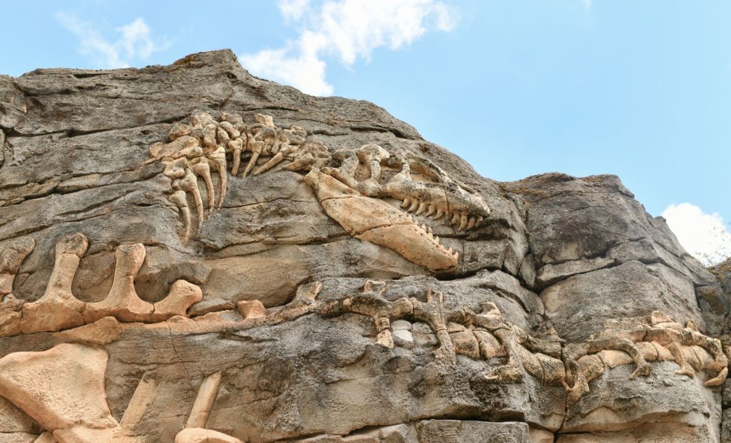 Nine-Ton Dinosaur With Odd Duck-Like Face Discovered Nine-Ton Dinosaur With Odd Duck-Like Face Discovered