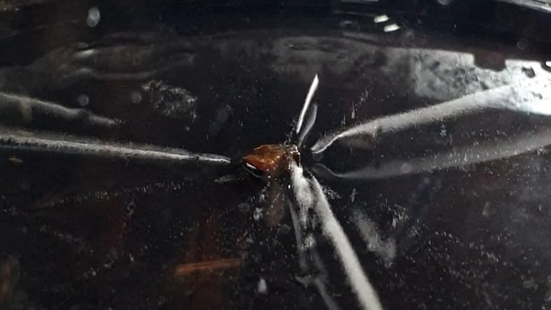 Cloud Chambers Get a Smart Makeover, DIY Style! Cloud Chambers Get a Smart Makeover, DIY Style!