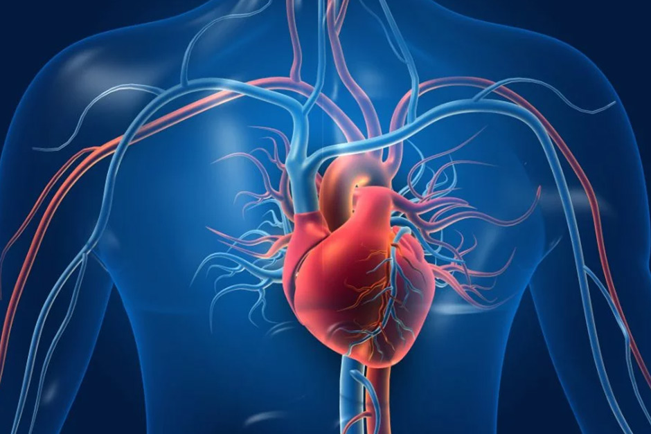 Heart Health: What heart surgery patients have in common, cardiologist reveals