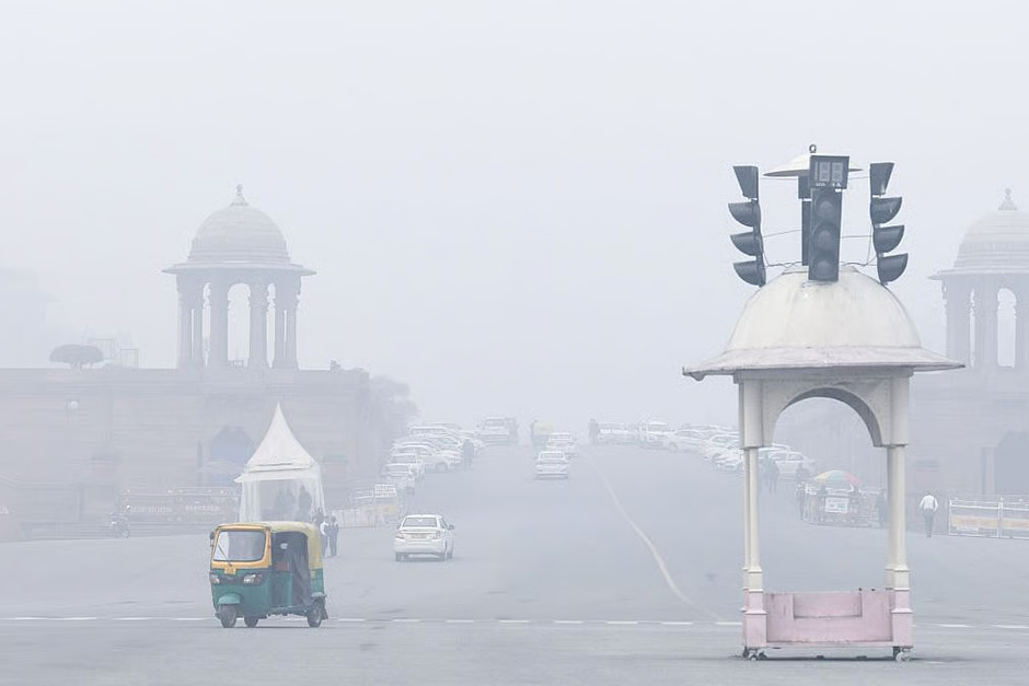 North India gripped by cold wave, dense fog; flight operations hit
