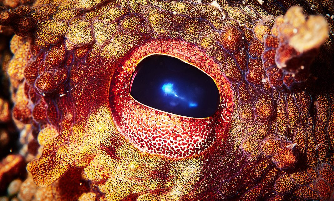 If humans disappear, what animal takes over? This scientist has a surprising answer: Earth. If humans disappear, what animal takes over? This scientist has a surprising answer: Earth.