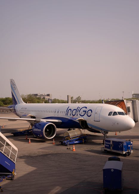Dense fog: IndiGo issues travel advisory; warns of potential flight delays Dense fog: IndiGo issues travel advisory; warns of potential flight delays