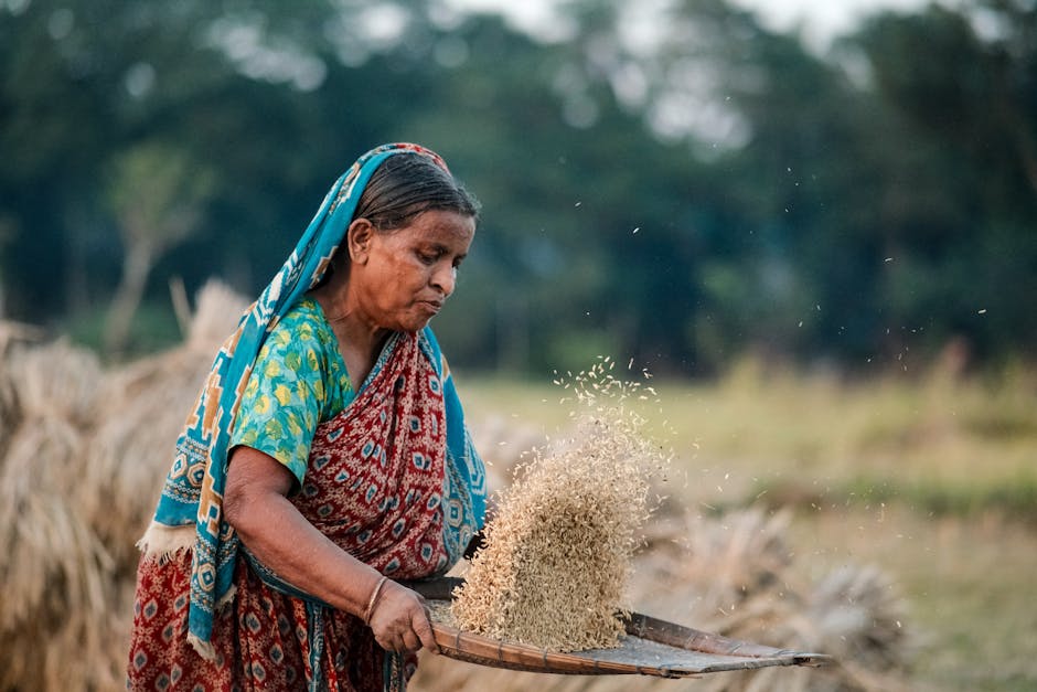 Osman Hadi to be buried next to Bangladesh national poet Kazi Nazrul Islam, funeral on Monday Osman Hadi to be buried next to Bangladesh national poet Kazi Nazrul Islam, funeral on Monday