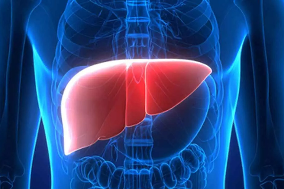 New monoclonal antibody safe and effective for rare liver disease