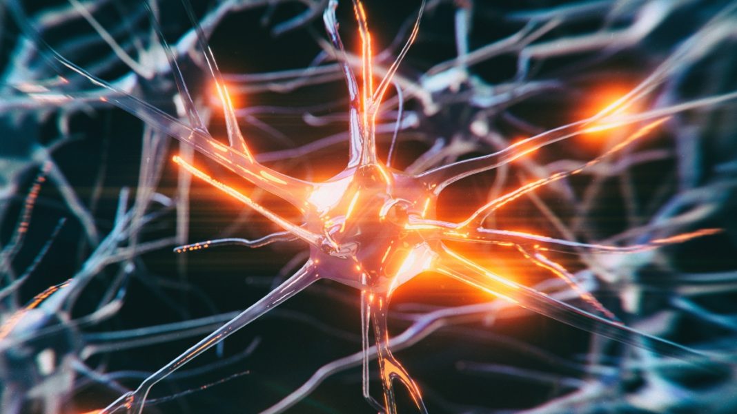 Heartbreak: The youngest person ever diagnosed with Alzheimer's