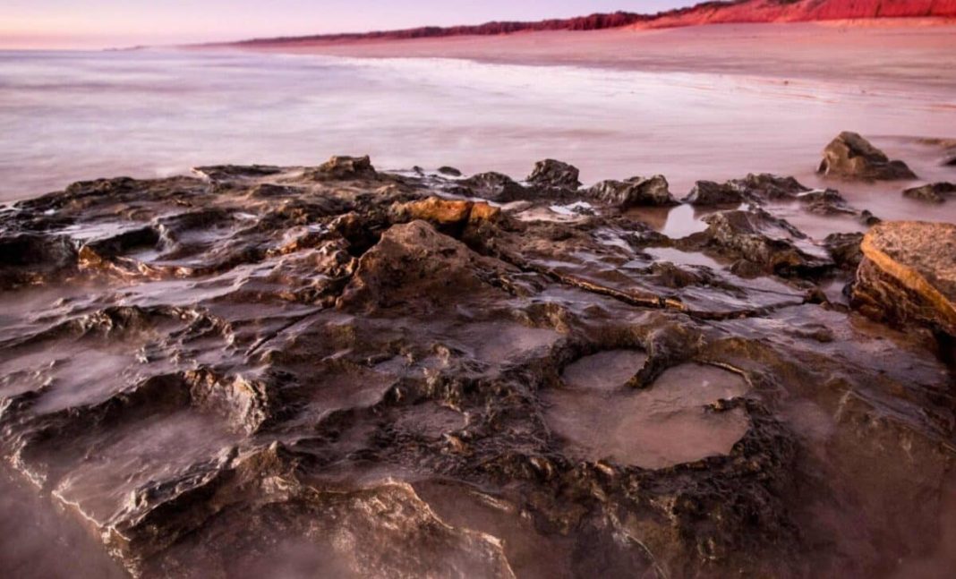 Scientists Found the Biggest Dinosaur Footprints Ever — Deep Enough to Swallow a Grown Adult.