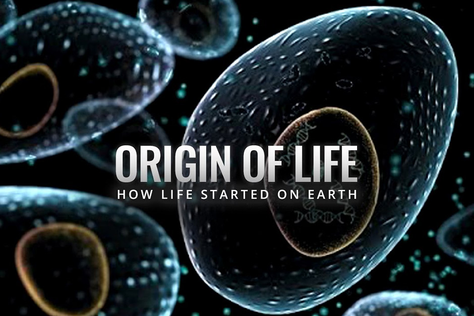 How did life begin on Earth? Fresh research points to the ‘RNA world’ theory.
