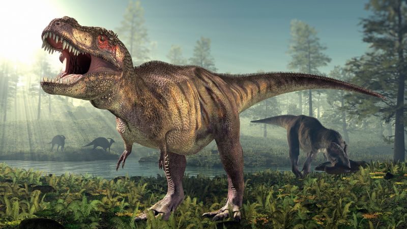 T. rex took 35 years to grow to full size.