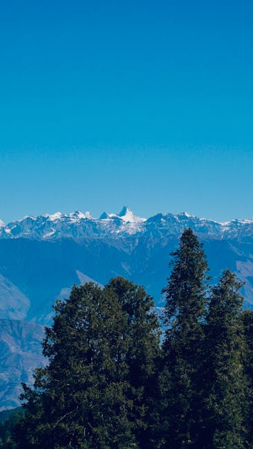 In Chamba’s freezing heights, a loyal dog keeps 4-day vigil over teen’s body: Watch