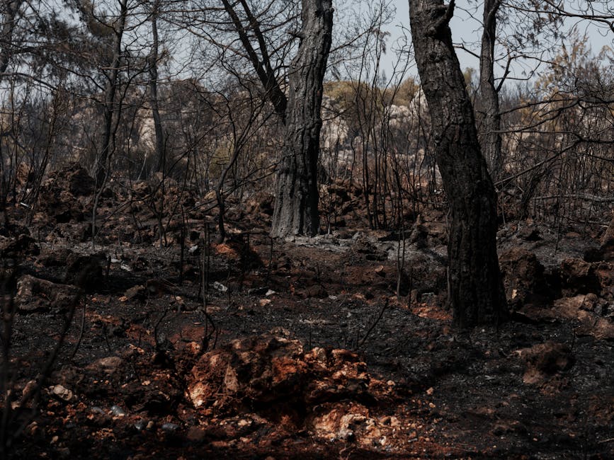 Three charred to death after bus, truck collide head-on in Andhra's Nandyal Three charred to death after bus, truck collide head-on in Andhra's Nandyal