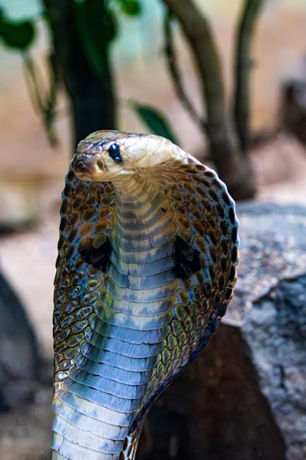 Ukraine-Russia-US talks conclude amid deadly airstrike on Kyiv