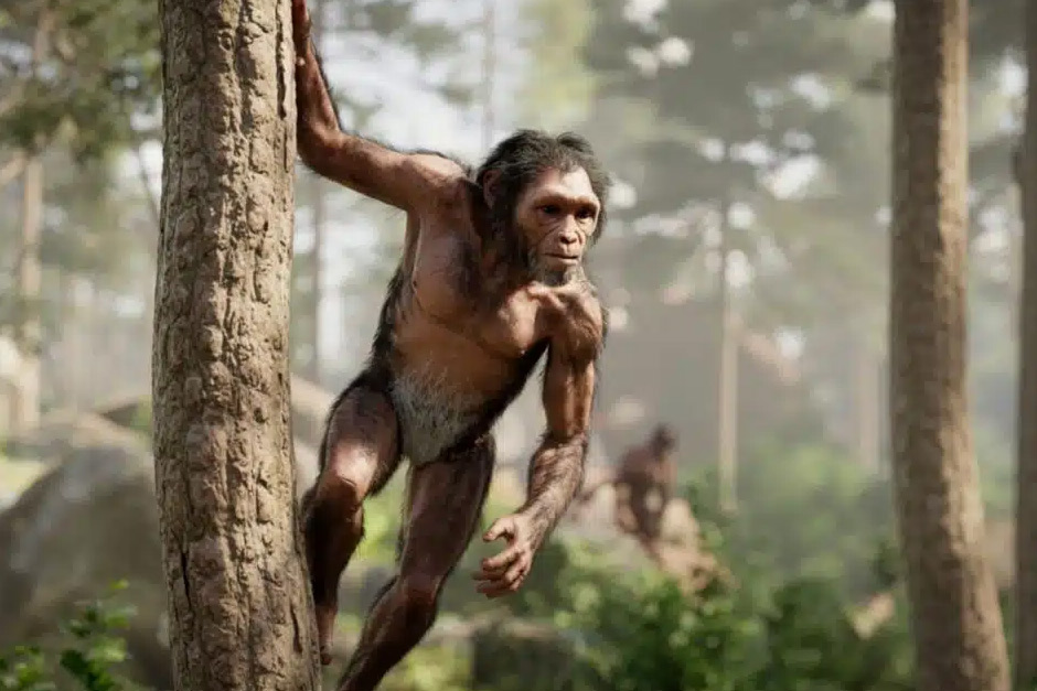 Pakka News! Scientists Pinpoint When Our Ancestors First Walked Tall!