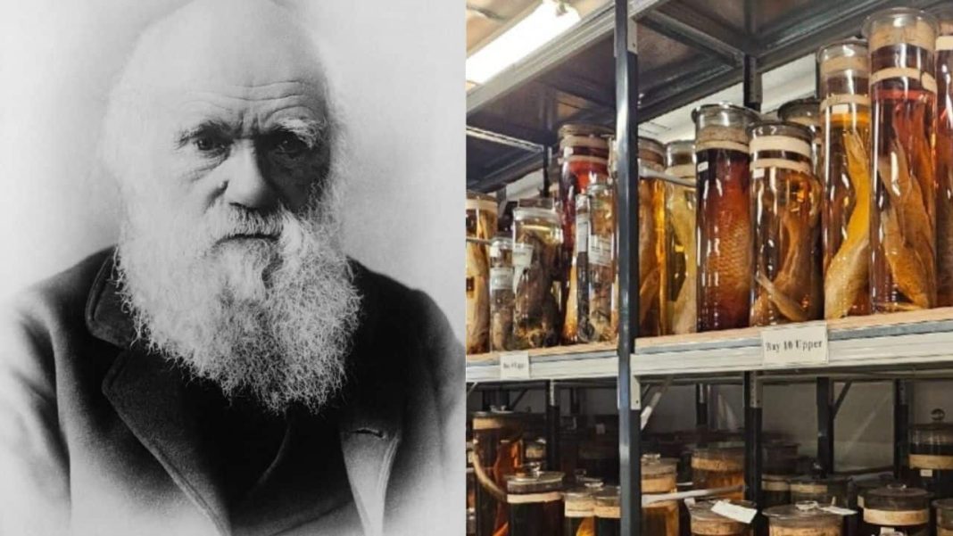 What happened when scientists fired lasers at Darwin’s 200-year-old sealed jars? Find out here