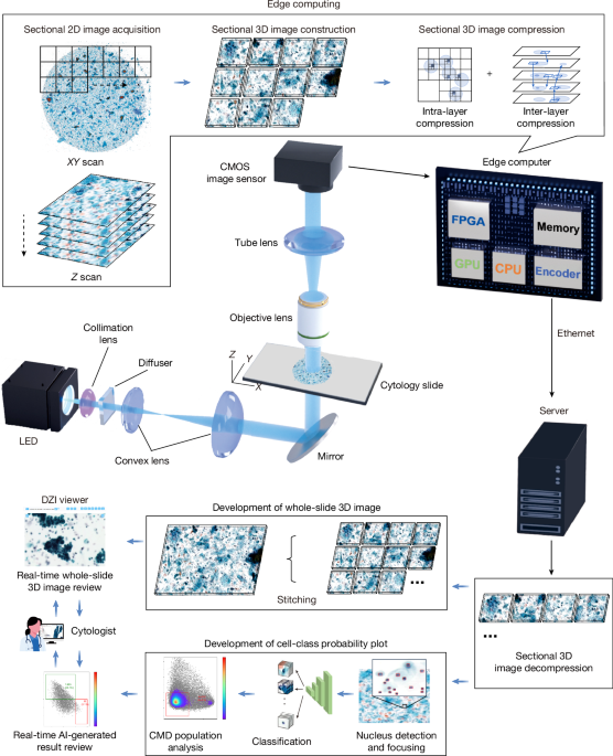 New AI Breakthrough: Clinical-Grade Diagnosis of Cell Diseases with Advanced Full-Slide Scans New AI Breakthrough: Clinical-Grade Diagnosis of Cell Diseases with Advanced Full-Slide Scans
