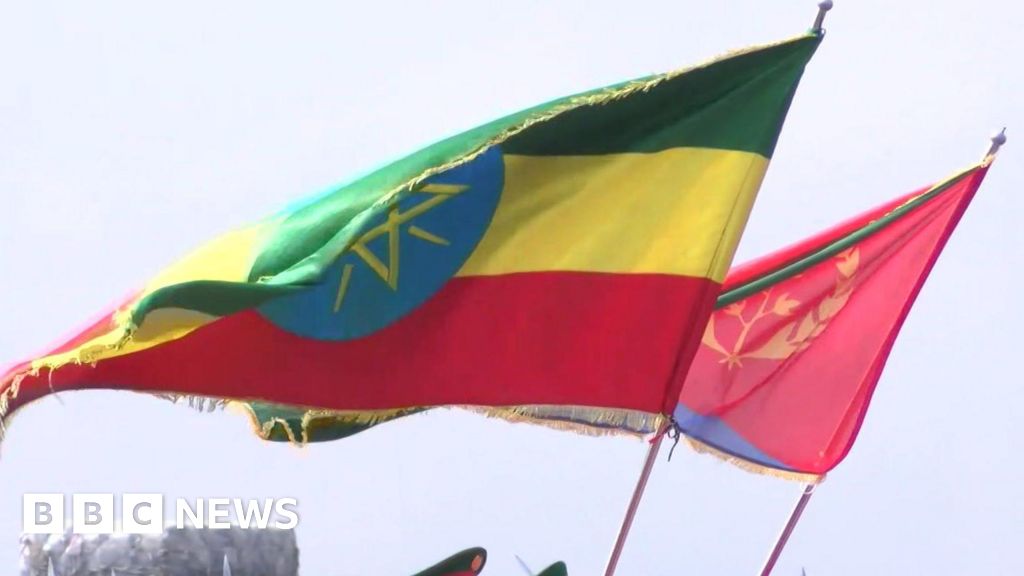 Eritrea Slams Ethiopia's 'Fabricated' Border Troop Report