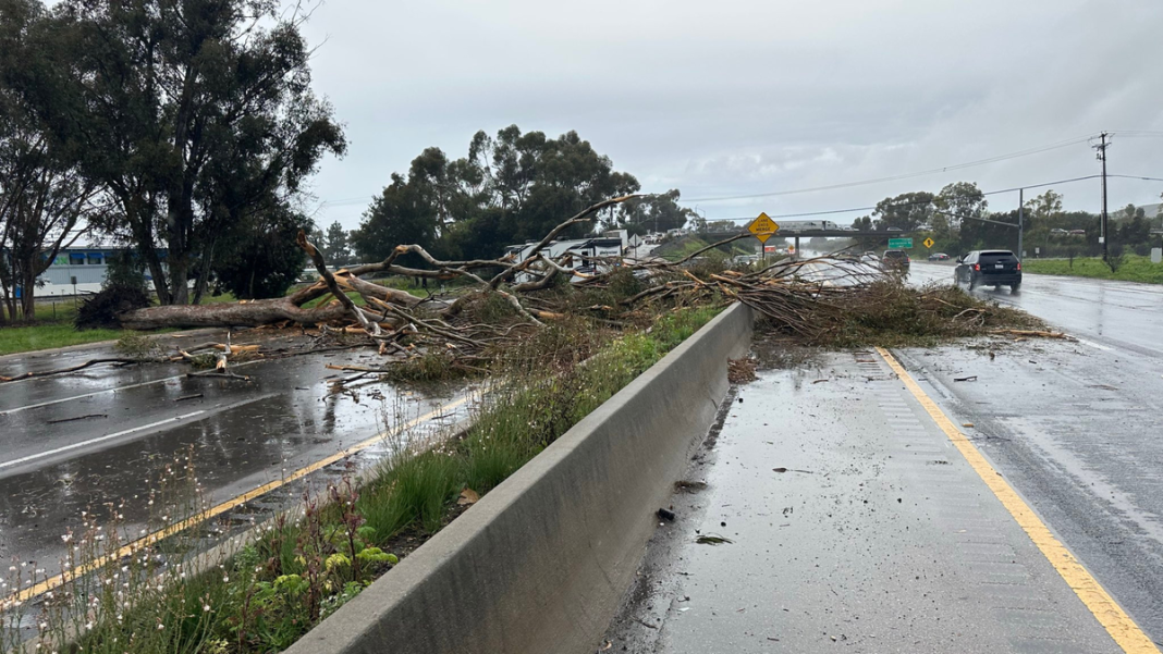 Highway 101 southbound at Fairview is reopened after the tree fell Monday. Highway 101 southbound at Fairview is reopened after the tree fell Monday.