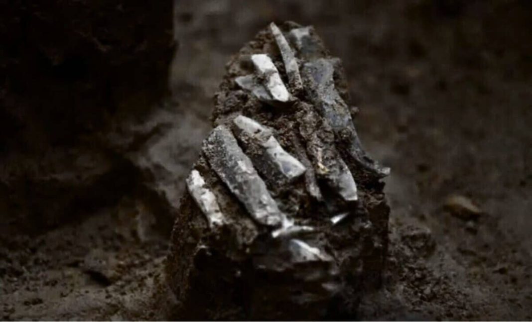 Woah! An Ice Age Traveler's 30,000-Year-Old Toolkit is Totally Changing History!