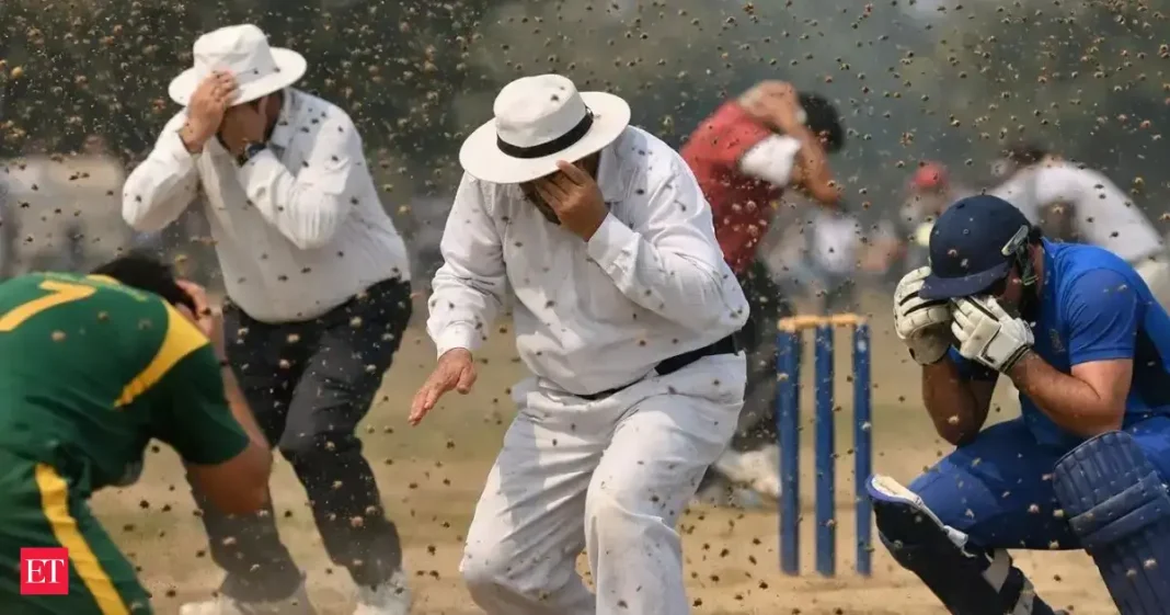 Umpire dies after a bee swarm attack during cricket match in Unnao