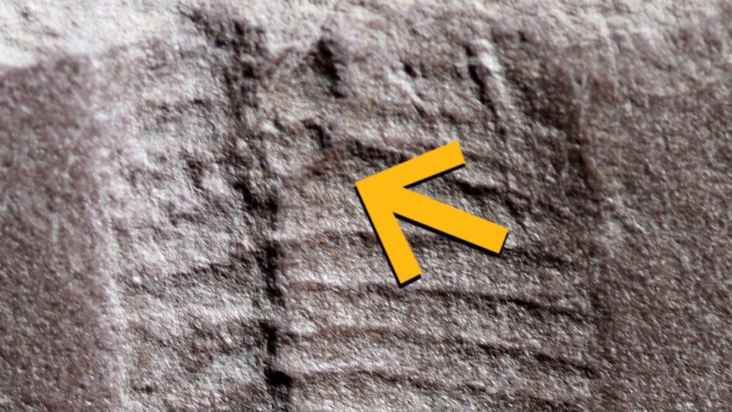 Scientists just found the oldest fossilized butthole in a 290-million-year-old reptile.