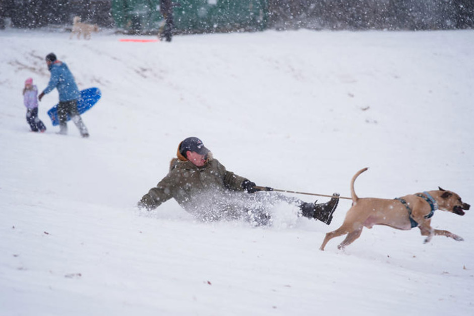 A historic storm just brought North Carolina its biggest snowfall in decades