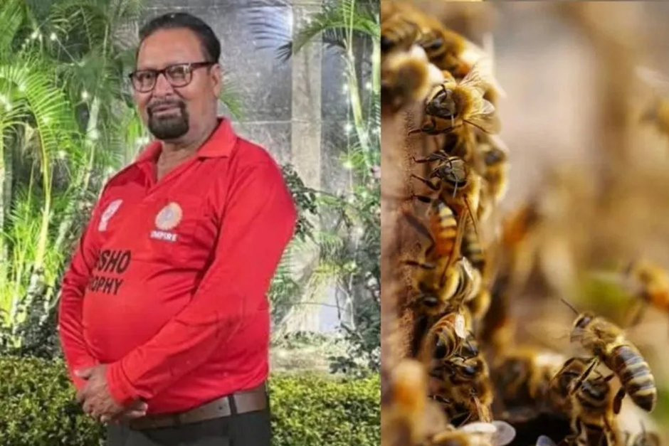 Umpire dies after a bee swarm attack during cricket match in Unnao