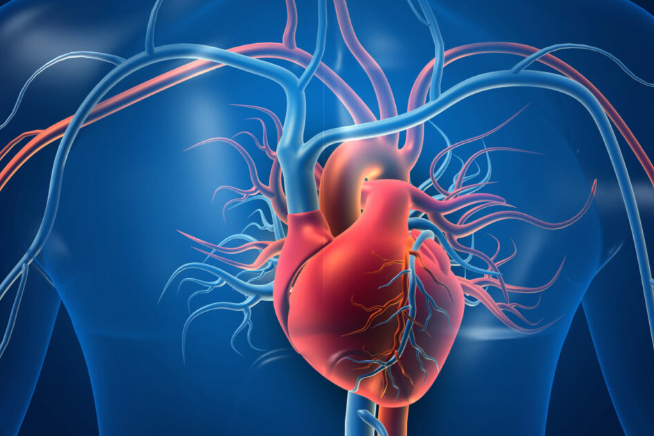 Eight Science-Backed Habits for a Stronger, Healthier Heart Eight Science-Backed Habits for a Stronger, Healthier Heart