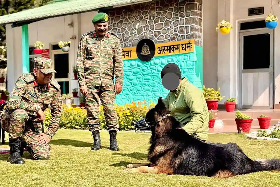 ‘Wounded yet in high spirits’: Army shares update on braveheart dog Tyson who ‘took the first bullet’