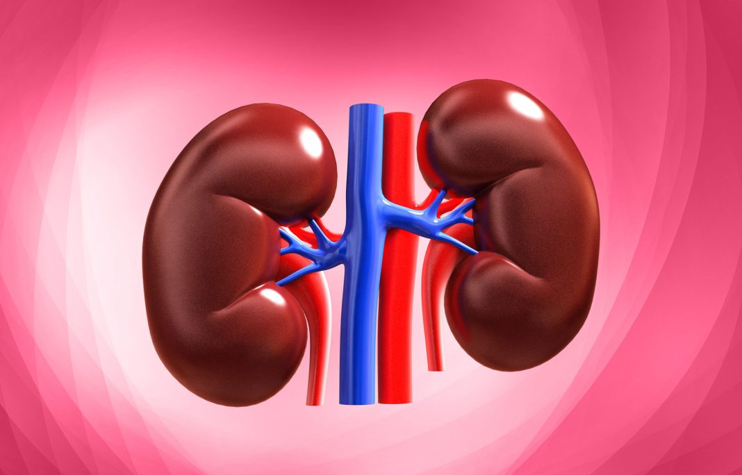 Kidney Screening Flags Rising Risks In Hyderabad Kidney Screening Flags Rising Risks In Hyderabad