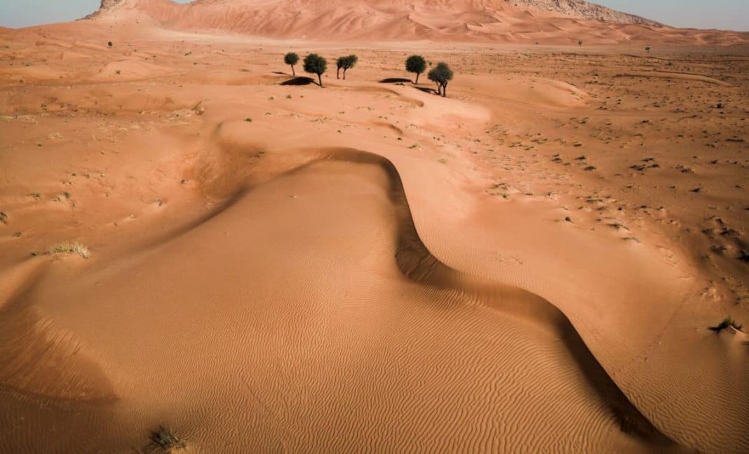 Researchers have just found a tiny 1-centimeter fossil in the Gobi Desert – the first one ever discovered like it.